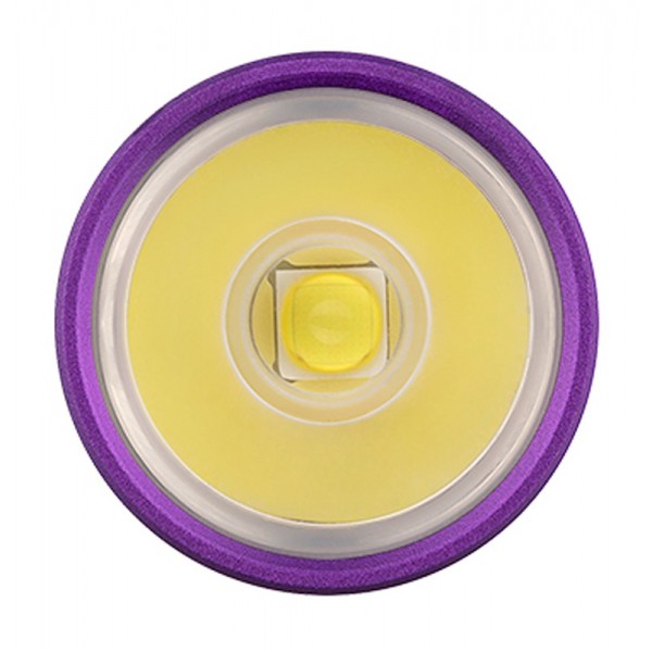 Ліхтар Olight I5R EOS Dragon & phoenix purple