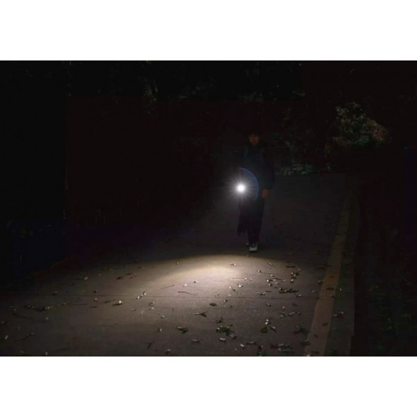 Ліхтар-брелок Olight i17 Checkered Flag